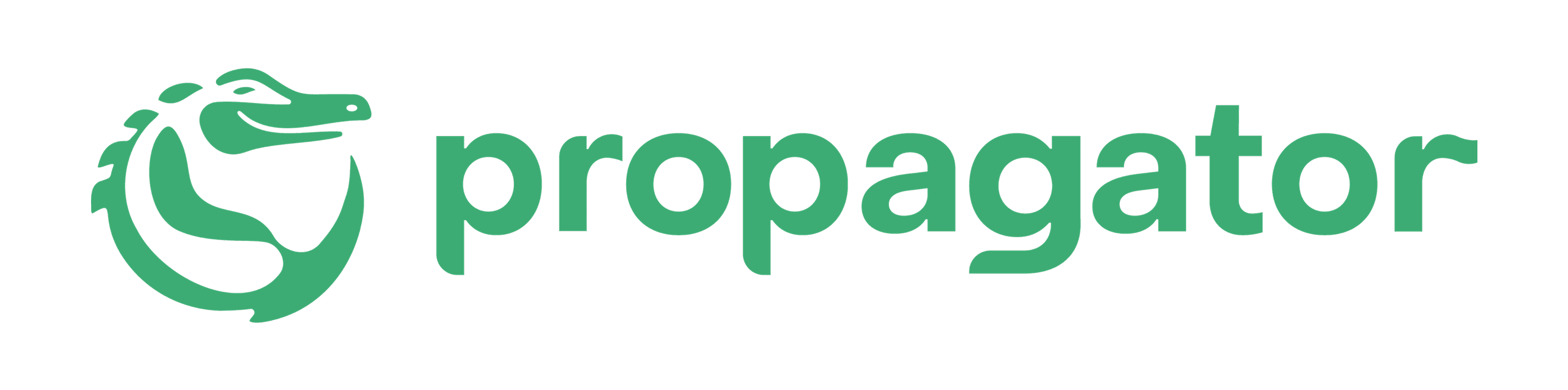Propagator